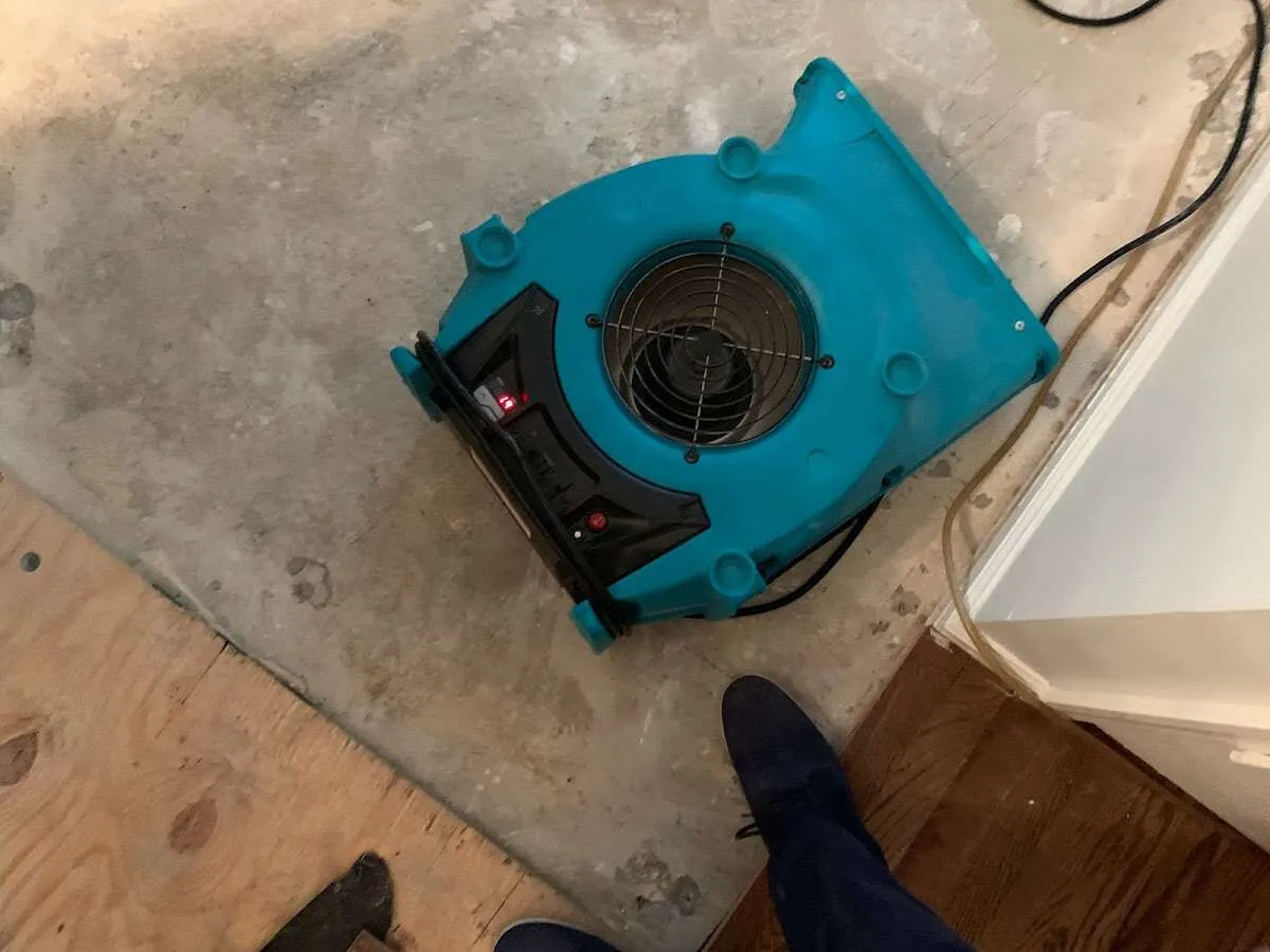 Air mover drying subfloor during Commercial Water Damage Restoration in Vineyard